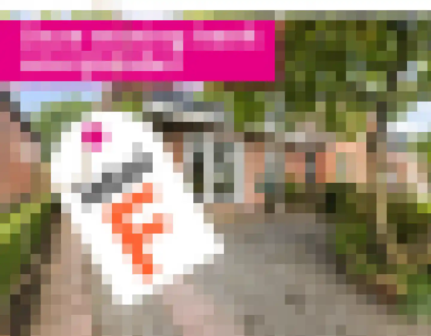 Tiltsjedyk 17 Boksum thumbnail 44