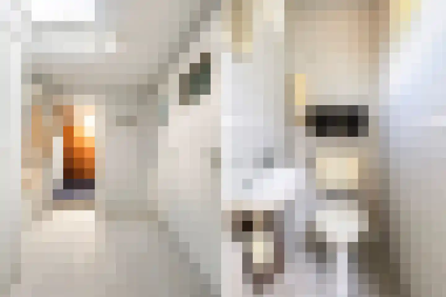 Tiltsjedyk 17 Boksum thumbnail 8