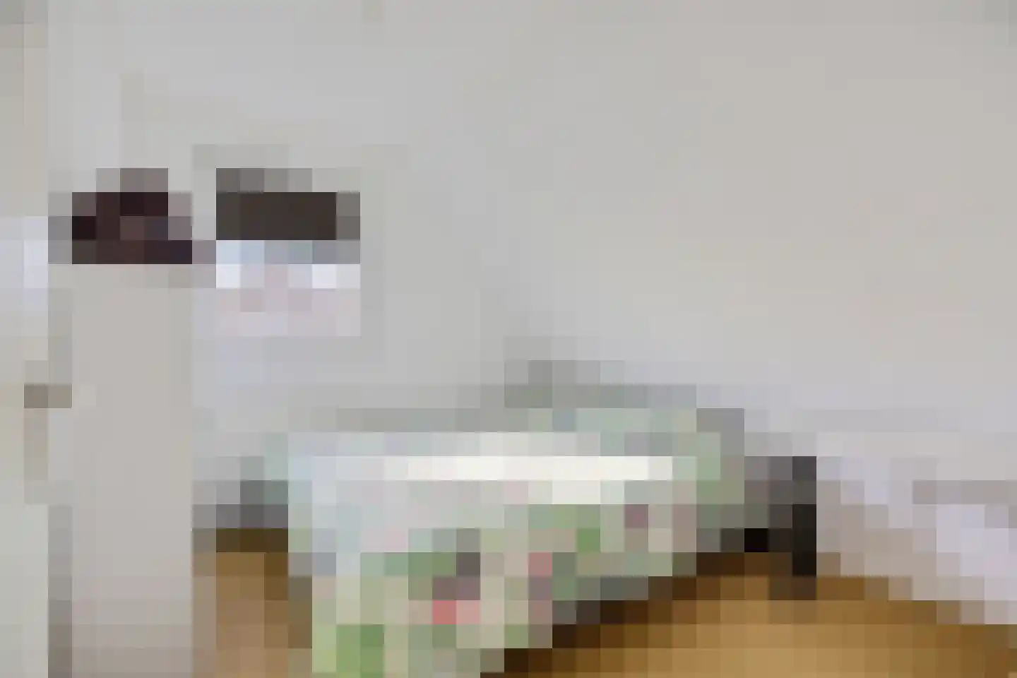 Tiltsjedyk 6 Boksum thumbnail 21
