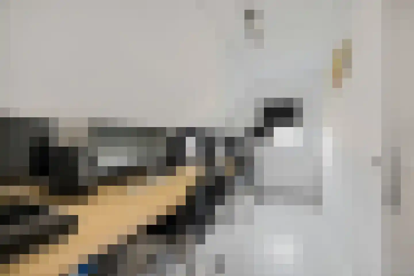 Tiltsjedyk 6 Boksum thumbnail 27