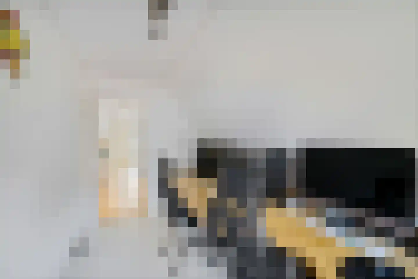 Tiltsjedyk 6 Boksum thumbnail 28