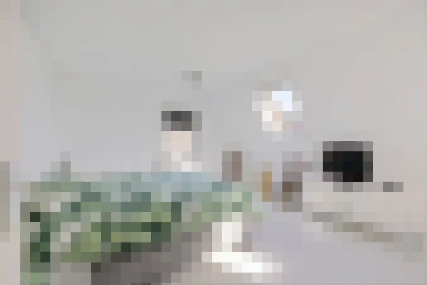 Tiltsjedyk 6 Boksum thumbnail 29