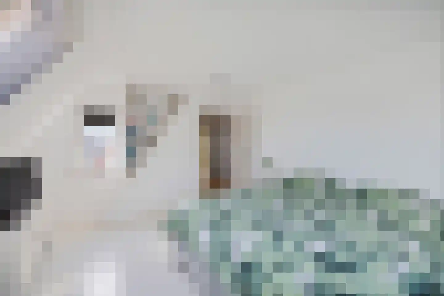 Tiltsjedyk 6 Boksum thumbnail 30