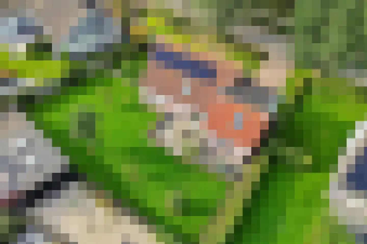 Tiltsjedyk 6 Boksum thumbnail 35