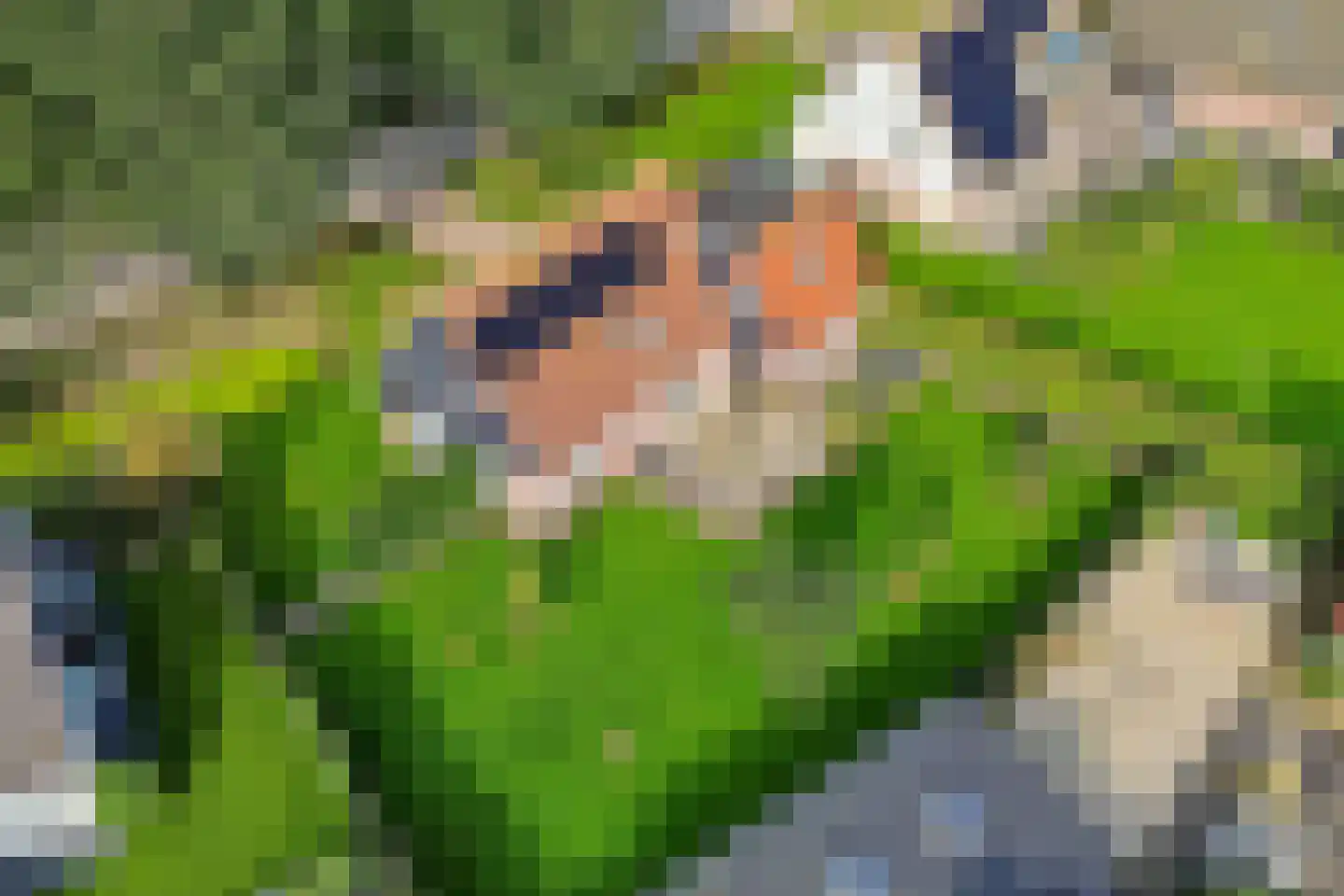 Tiltsjedyk 6 Boksum thumbnail 36