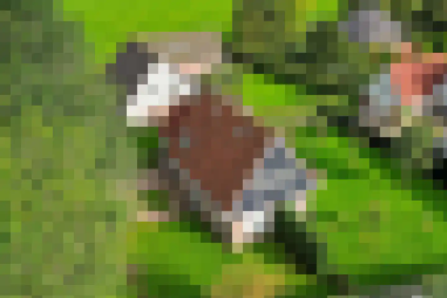Tiltsjedyk 6 Boksum thumbnail 37