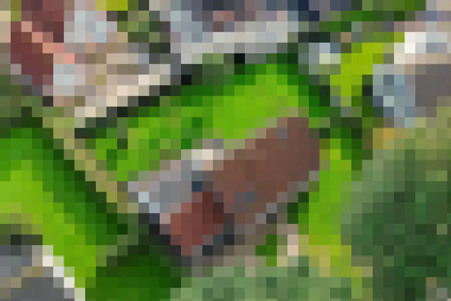 Tiltsjedyk 6 Boksum thumbnail 38