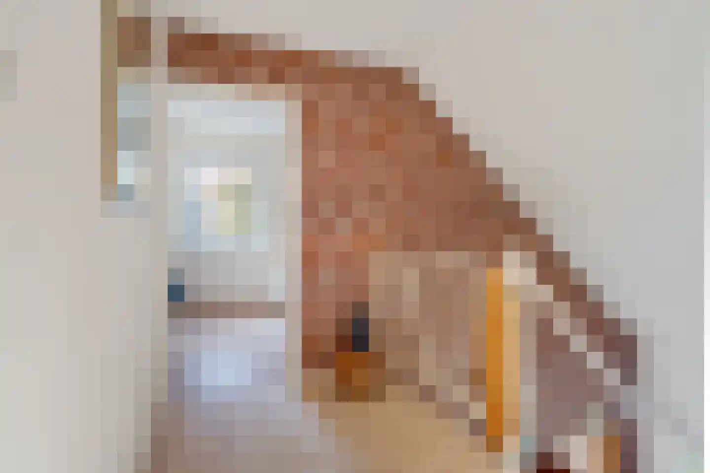 Tilweg 3 a Gees thumbnail 27