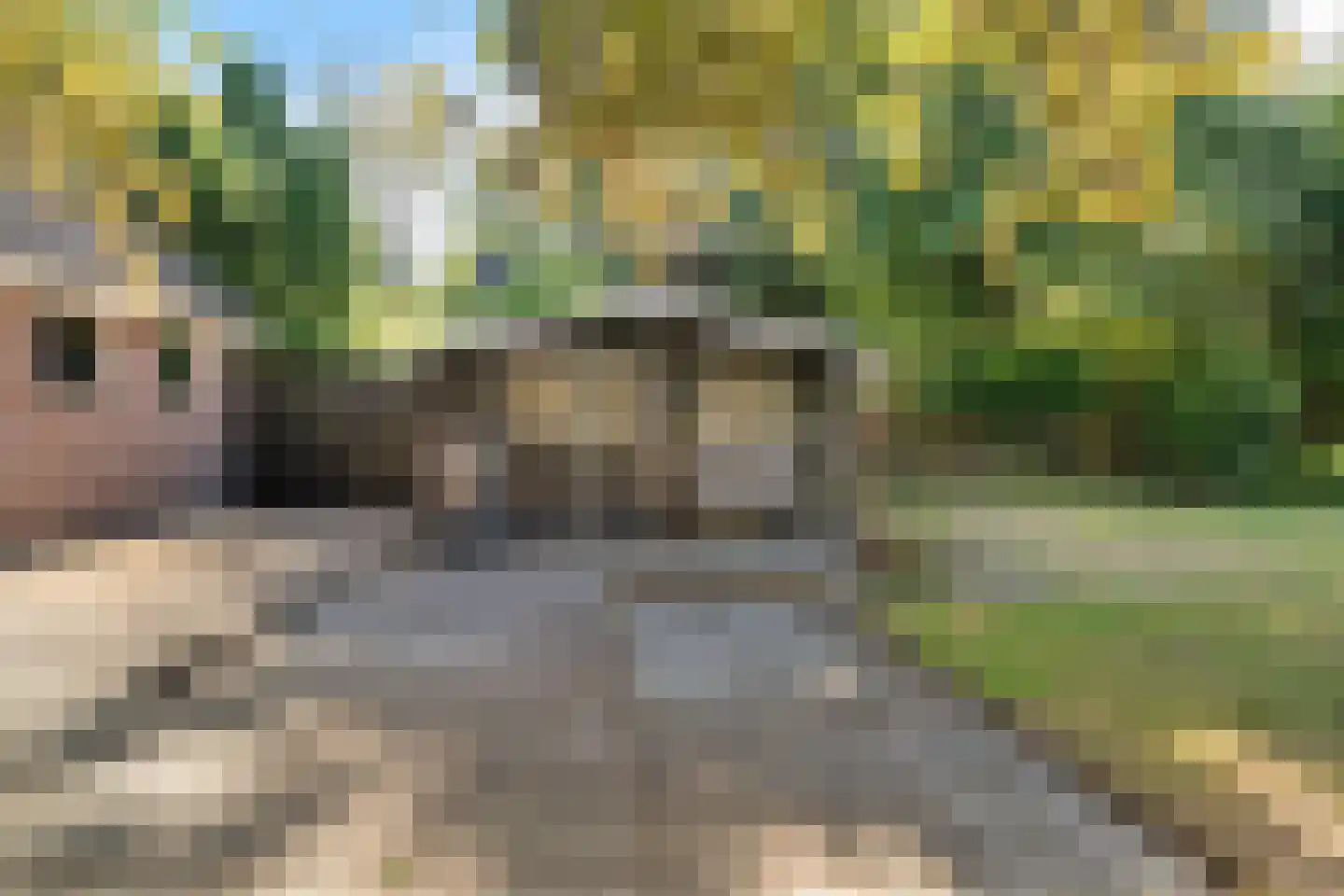 Tilweg 3 a Gees thumbnail 45