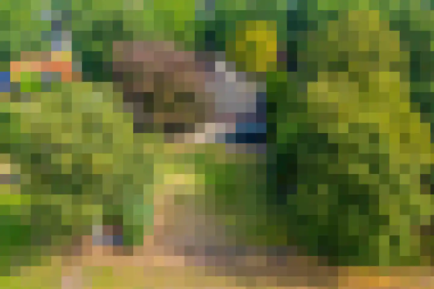 Tilweg 3 a Gees thumbnail 48
