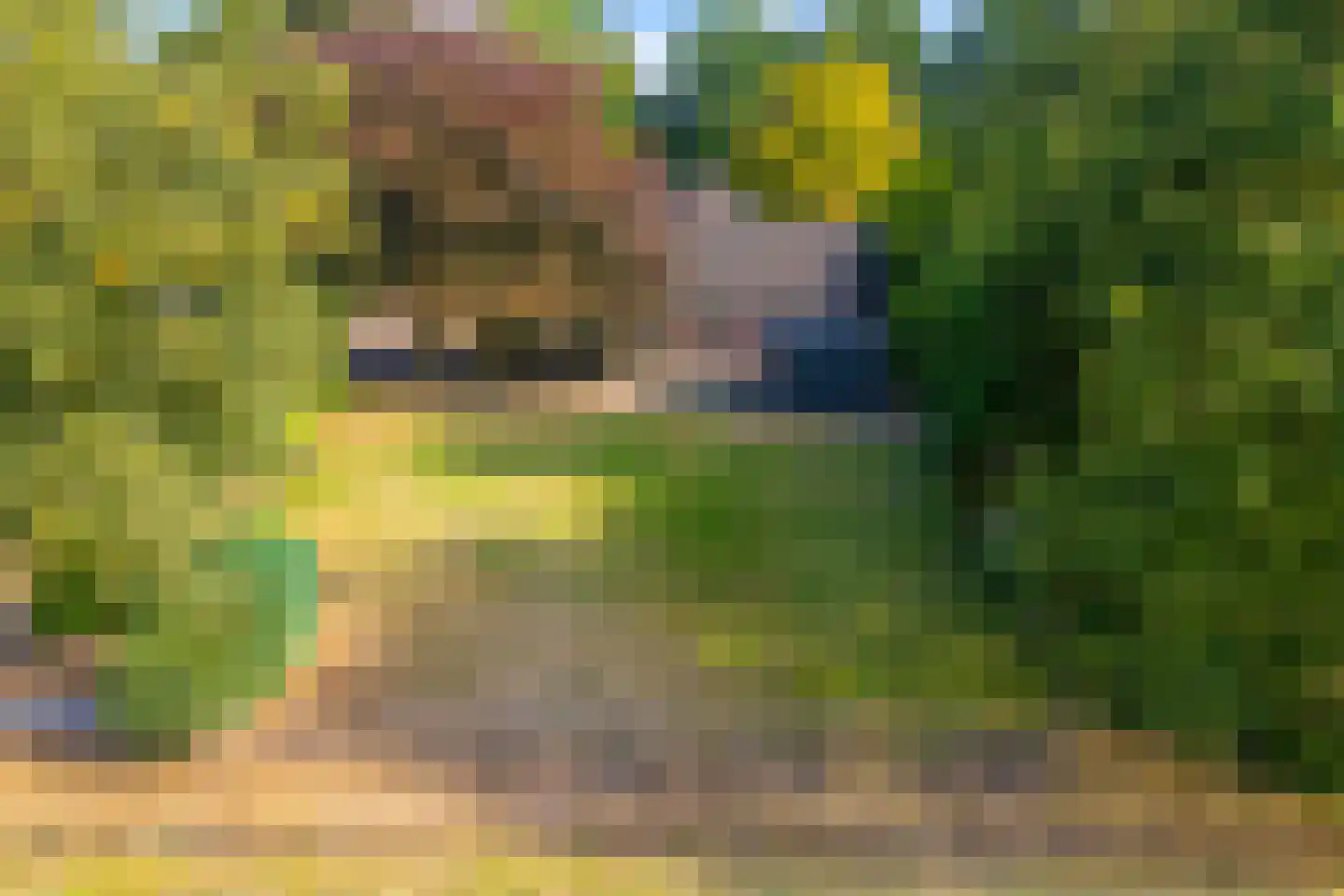 Tilweg 3 a Gees thumbnail 5
