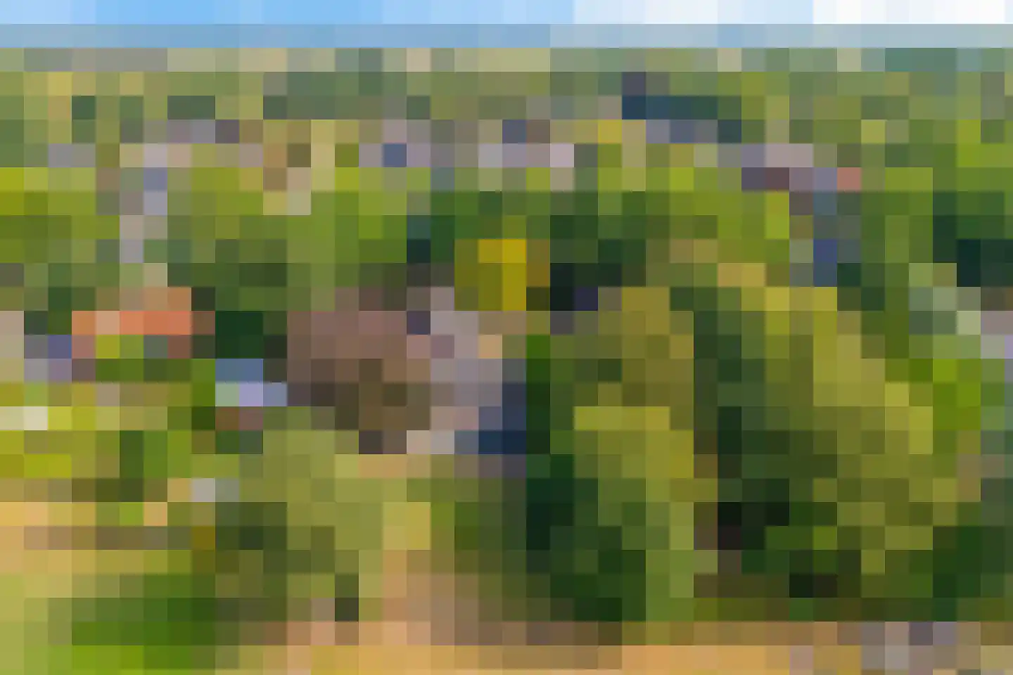 Tilweg 3 a Gees thumbnail 54