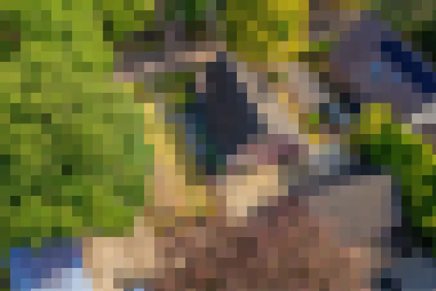 Tilweg 3 a Gees thumbnail 58