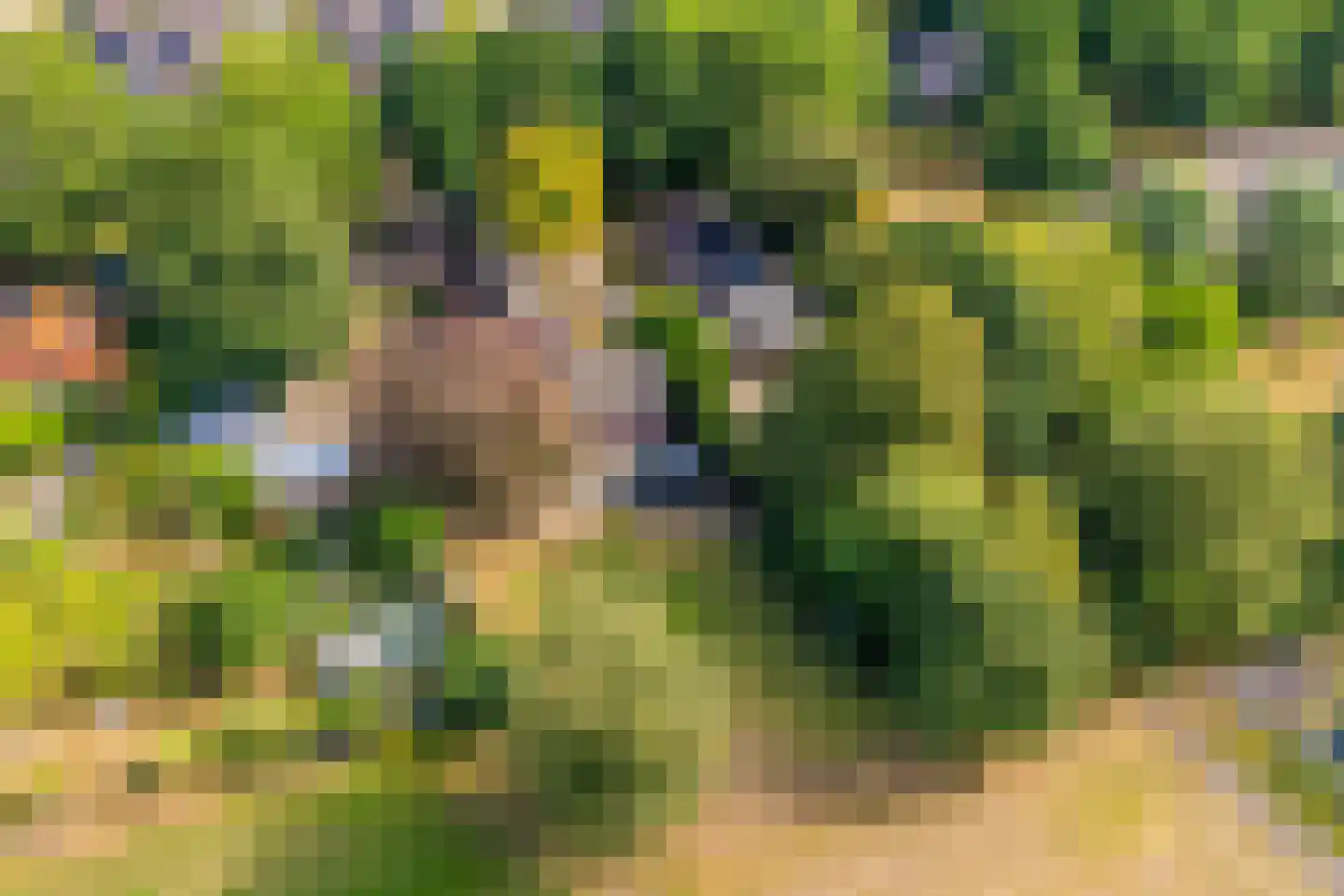 Tilweg 3 a Gees thumbnail 59