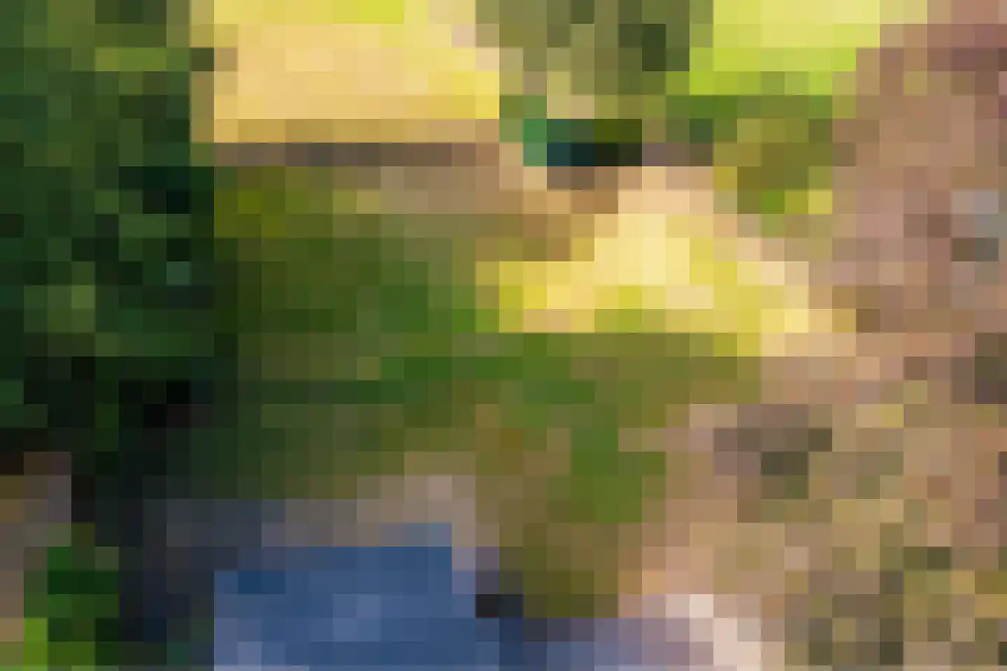 Tilweg 3 a Gees thumbnail 61