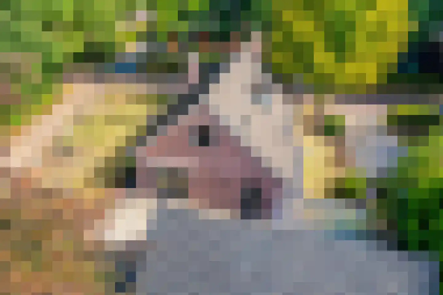 Tilweg 3 a Gees thumbnail 62