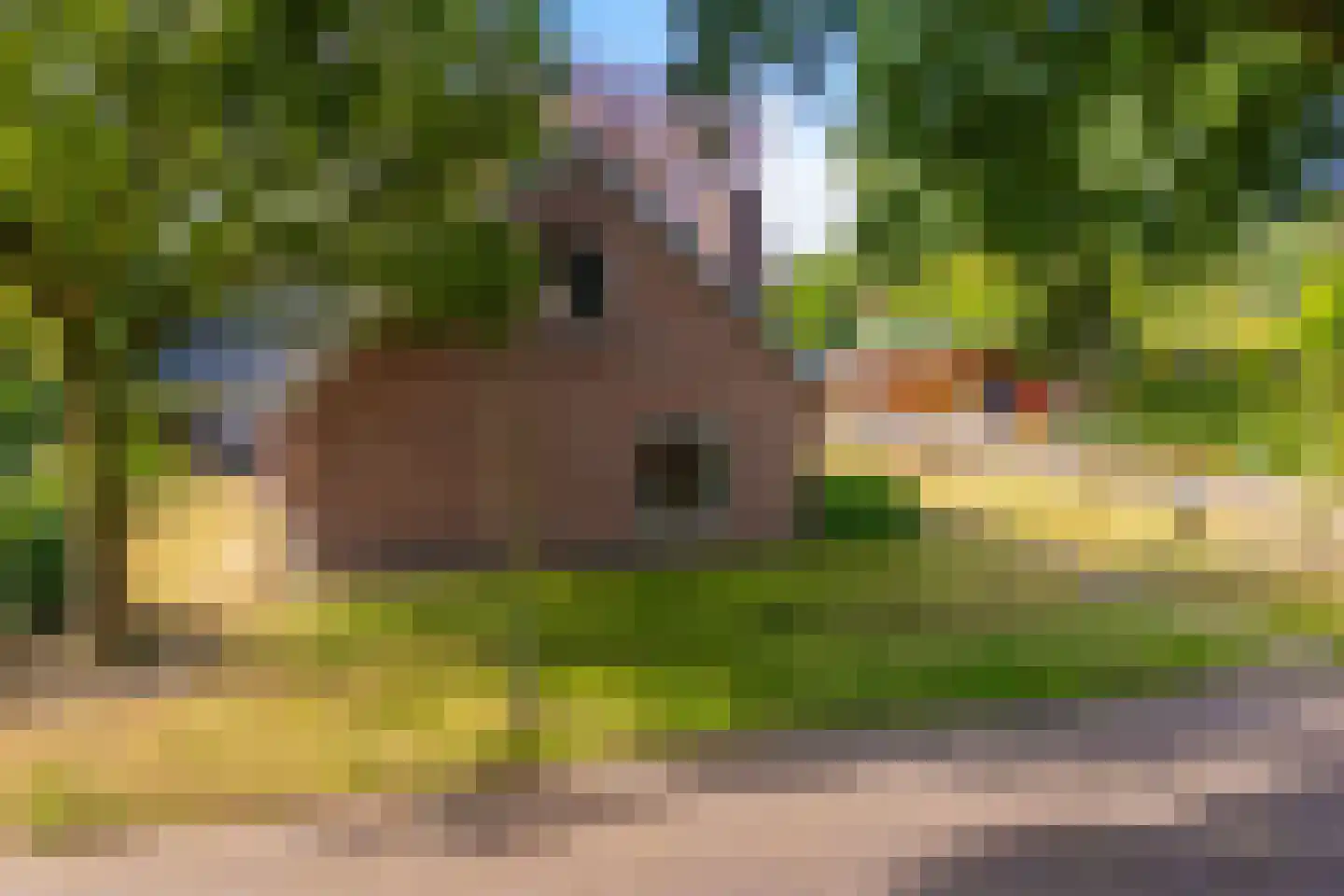 Tilweg 3 a Gees thumbnail 63
