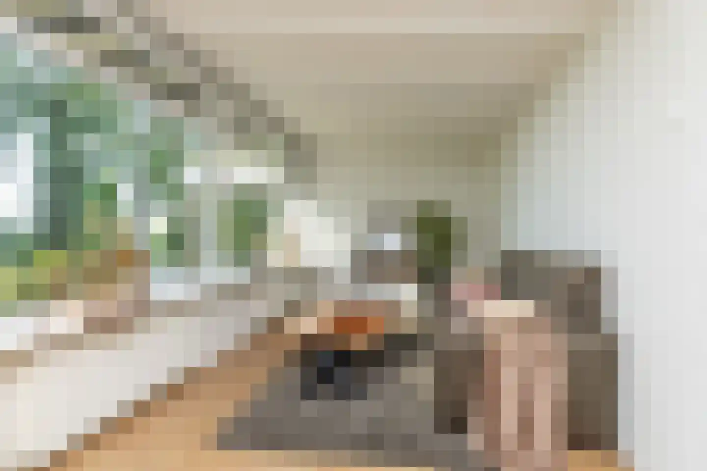 Tilweg 36 a Gees thumbnail 12