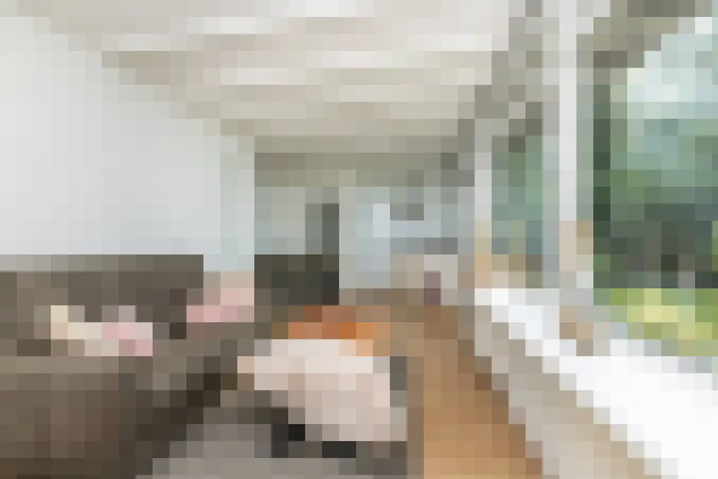 Tilweg 36 a Gees thumbnail 13
