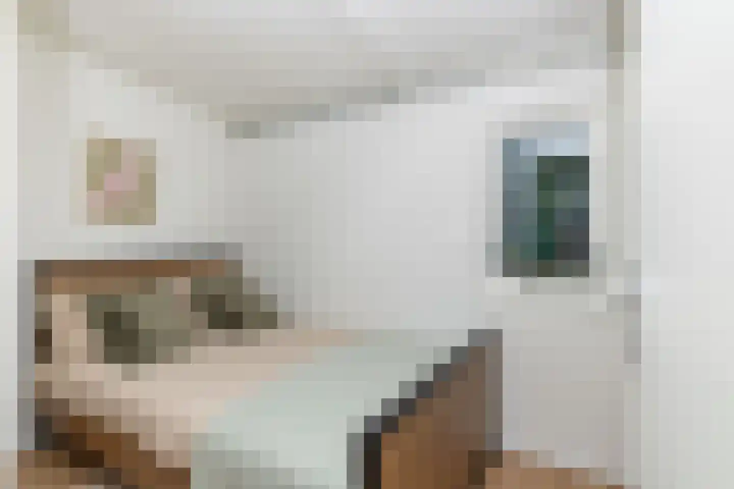 Tilweg 36 a Gees thumbnail 16