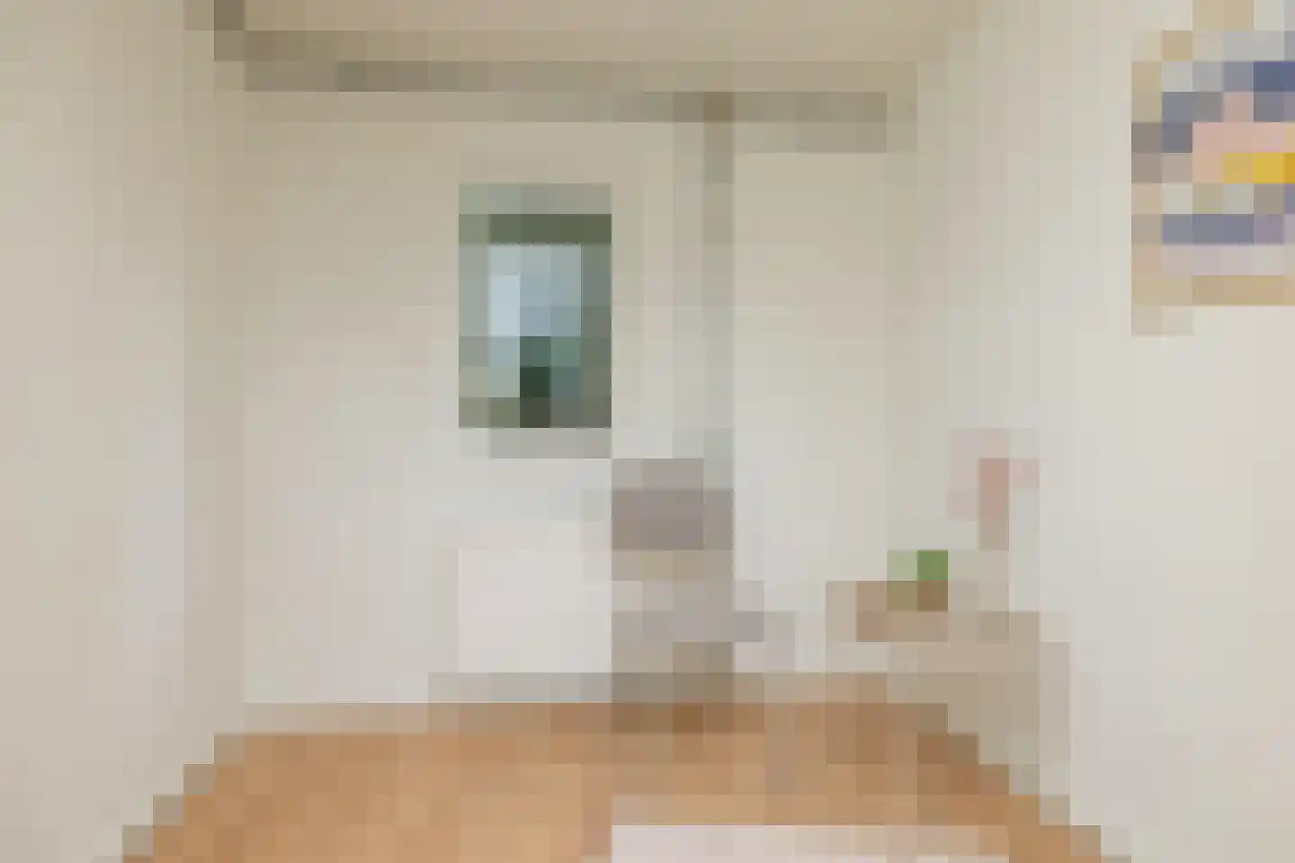 Tilweg 36 a Gees thumbnail 19
