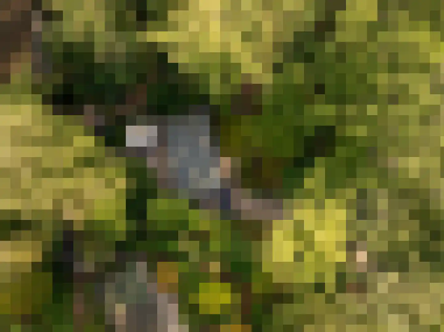 Tilweg 36 a Gees thumbnail 25
