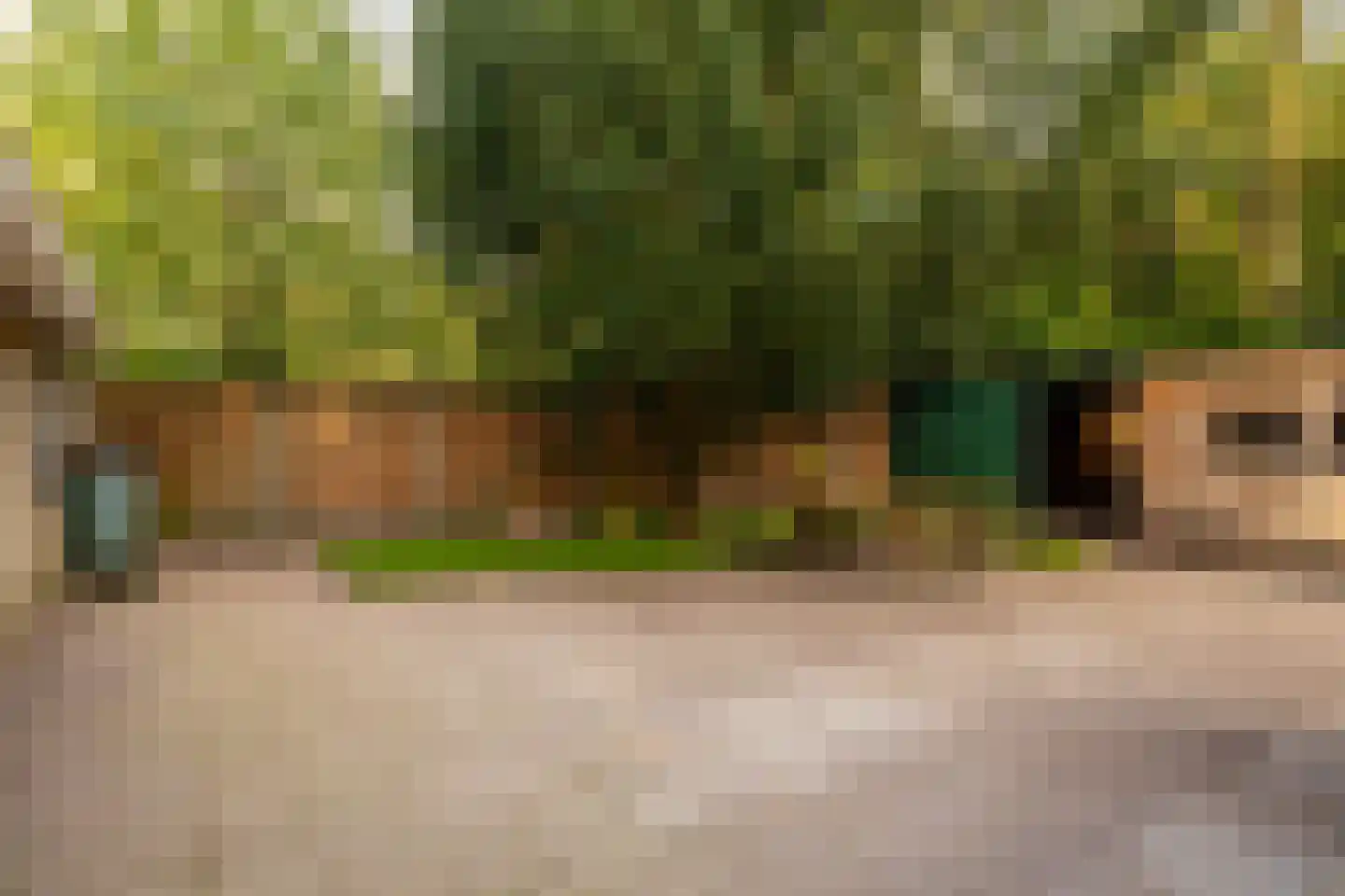 Tilweg 36 a Gees thumbnail 26
