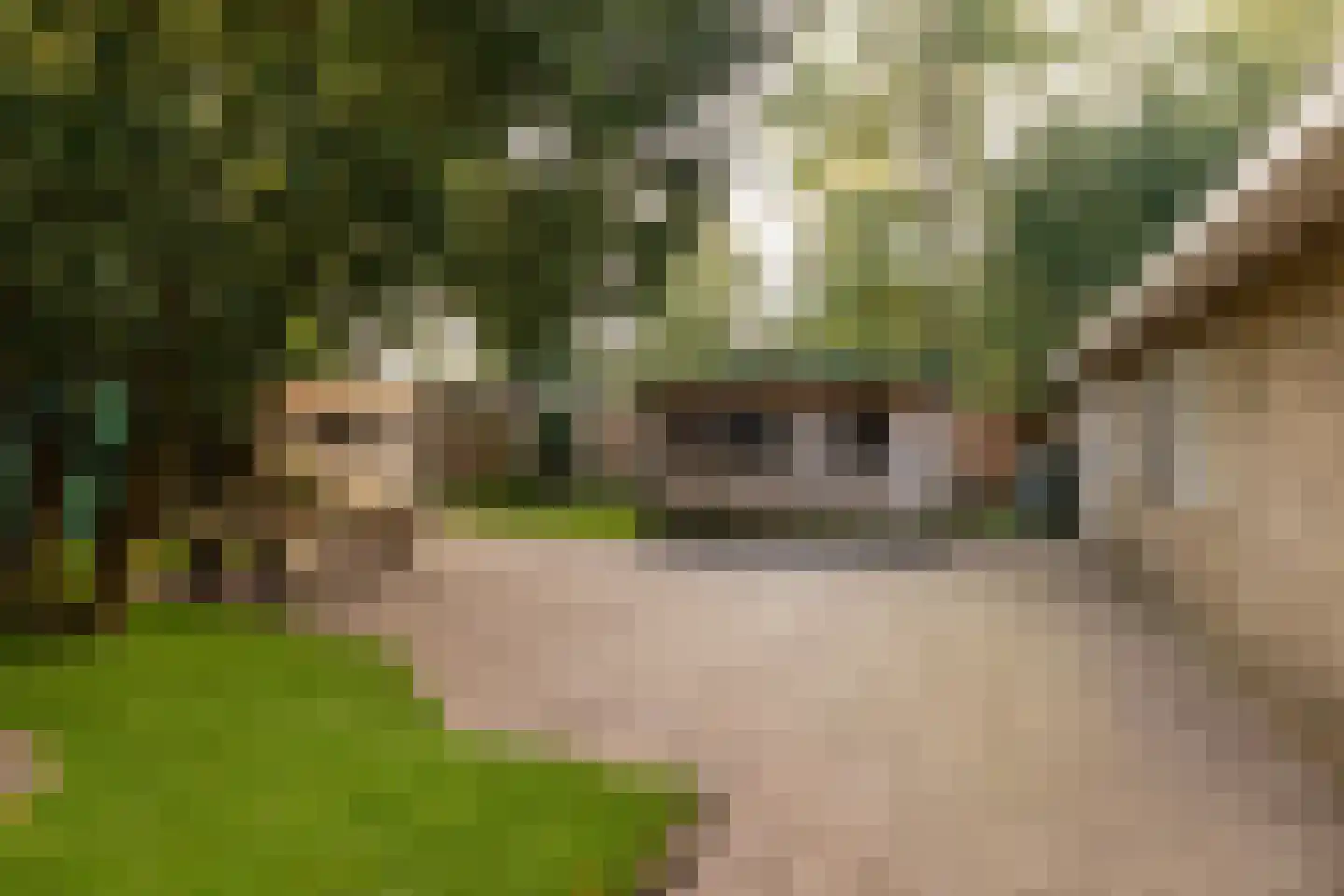 Tilweg 36 a Gees thumbnail 27