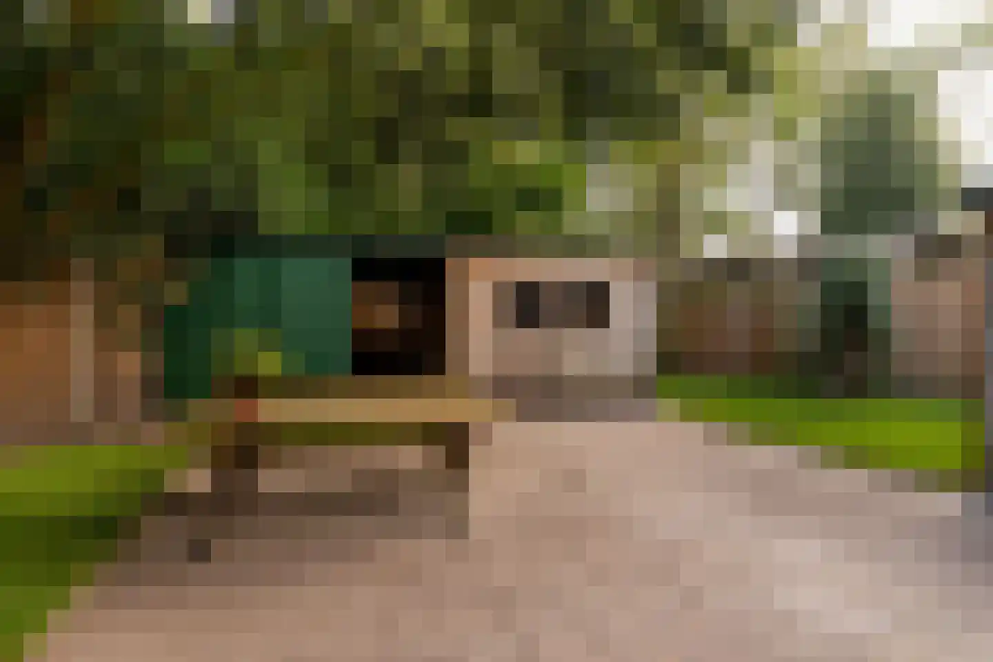 Tilweg 36 a Gees thumbnail 28