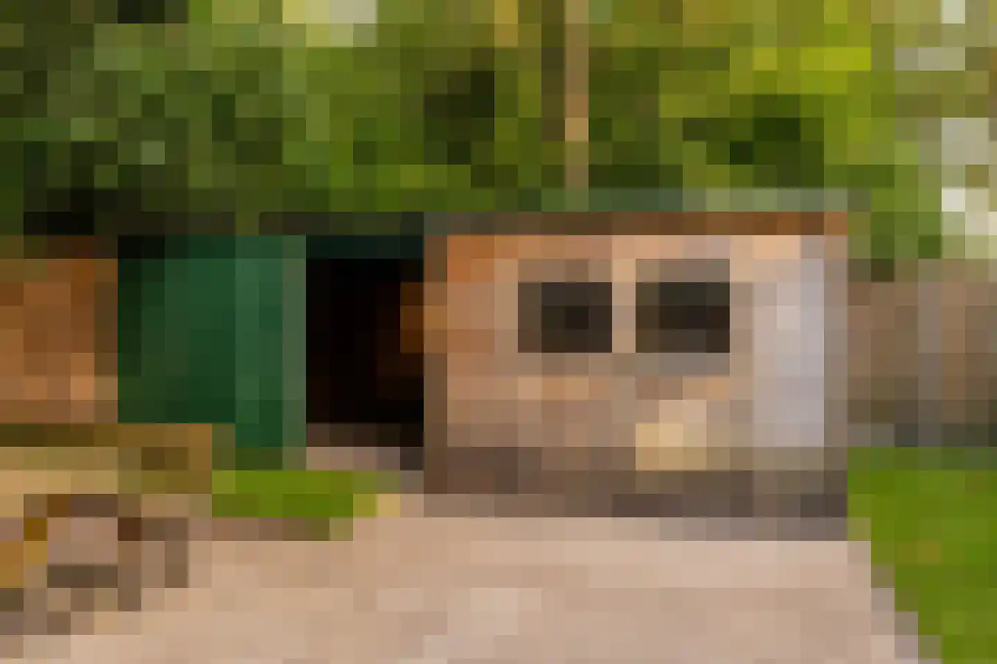 Tilweg 36 a Gees thumbnail 32