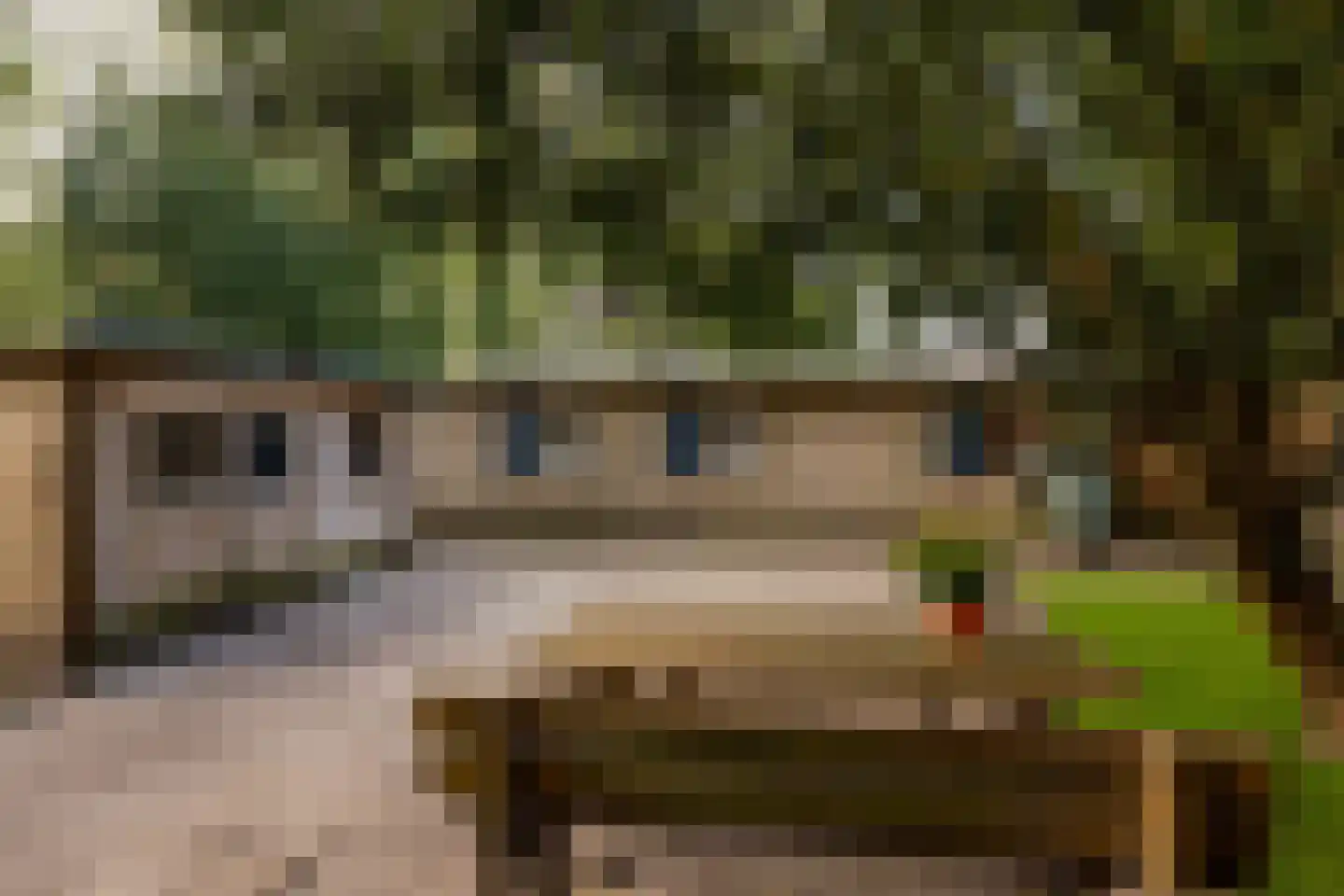 Tilweg 36 a Gees thumbnail 35