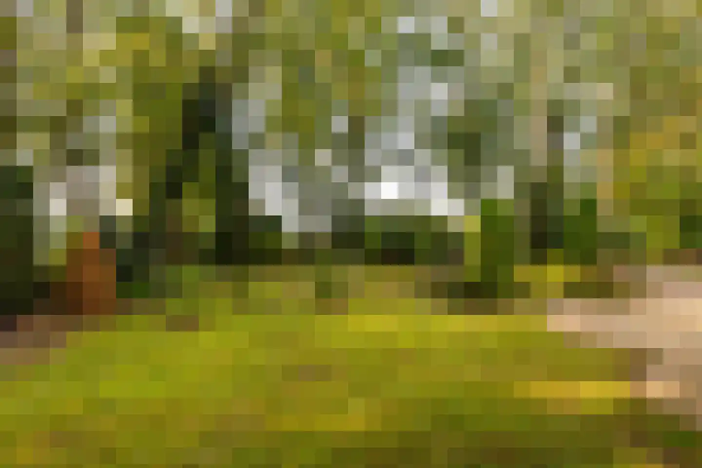 Tilweg 36 a Gees thumbnail 37