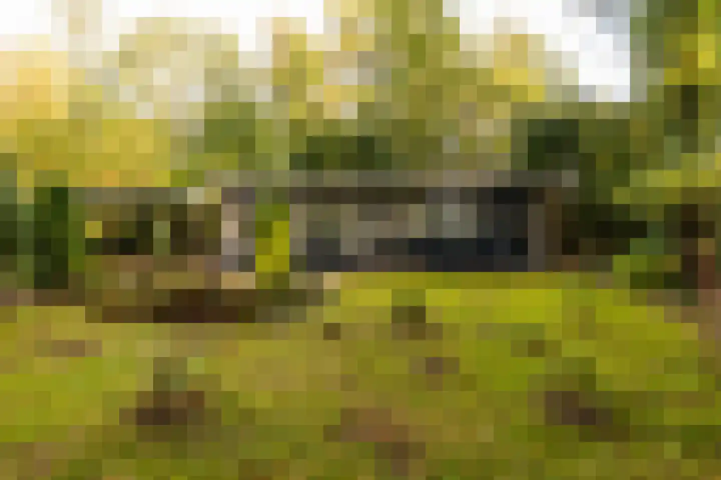 Tilweg 36 a Gees thumbnail 38