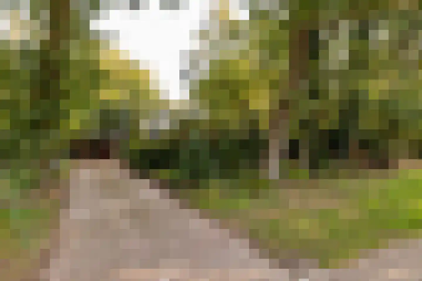 Tilweg 36 a Gees thumbnail 40