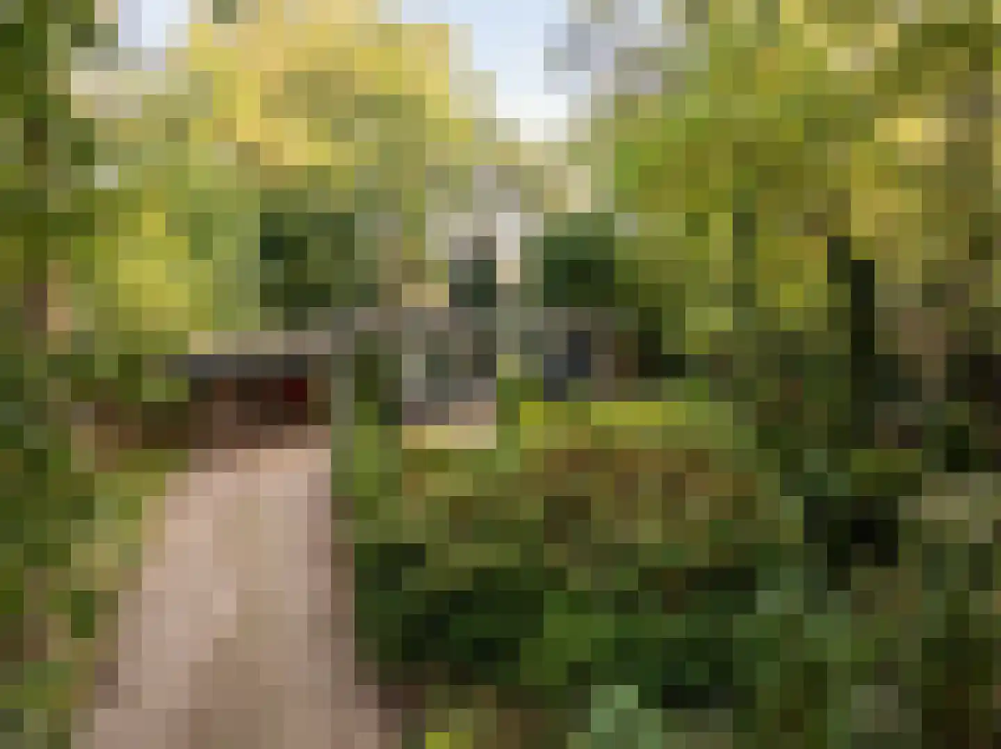 Tilweg 36 a Gees thumbnail 41