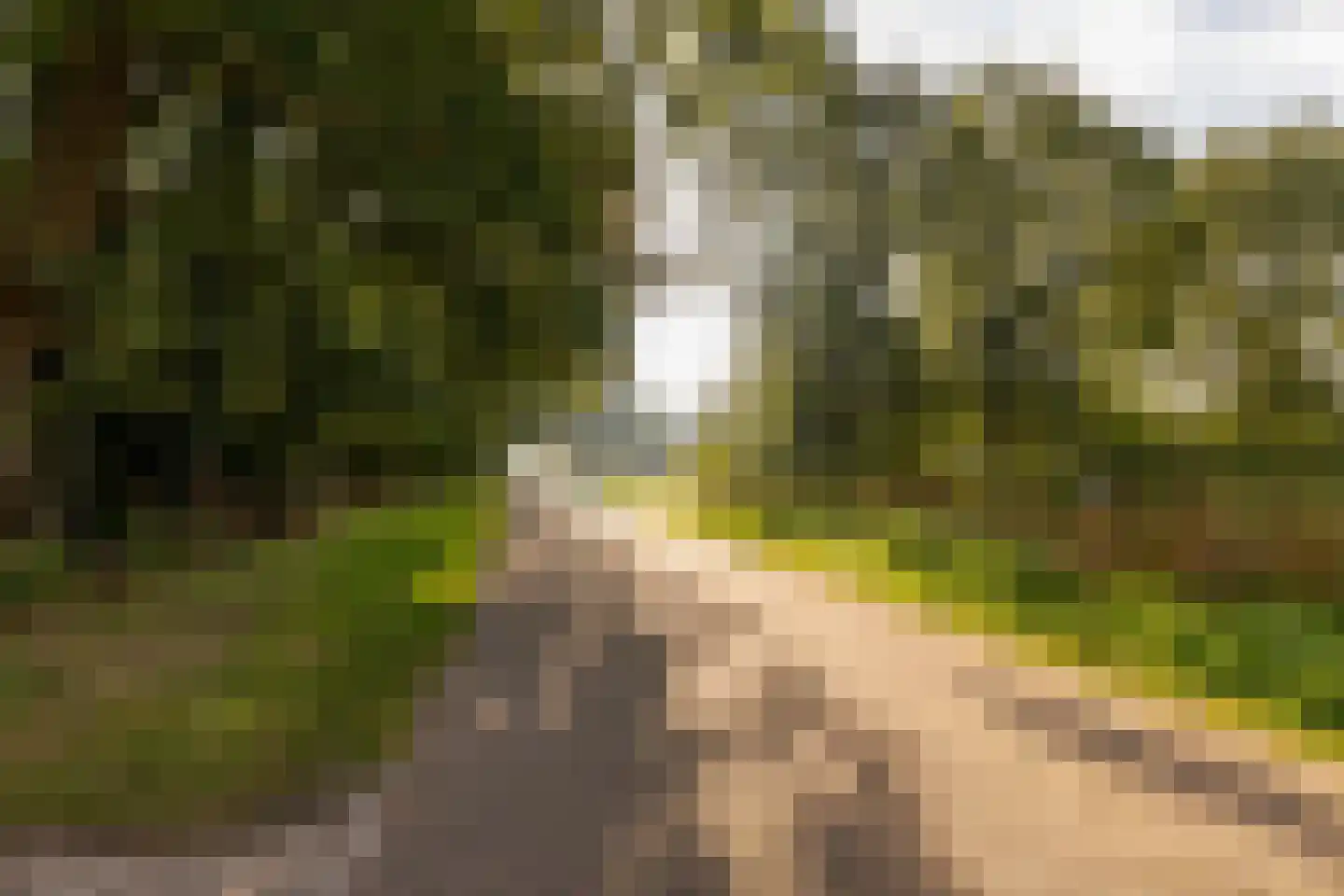 Tilweg 36 a Gees thumbnail 44