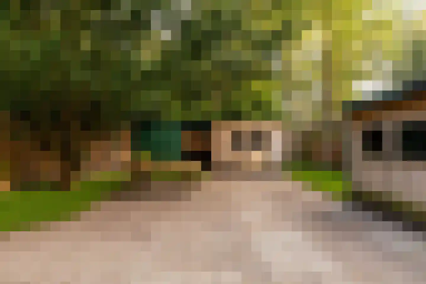 Tilweg 36 a Gees thumbnail 5