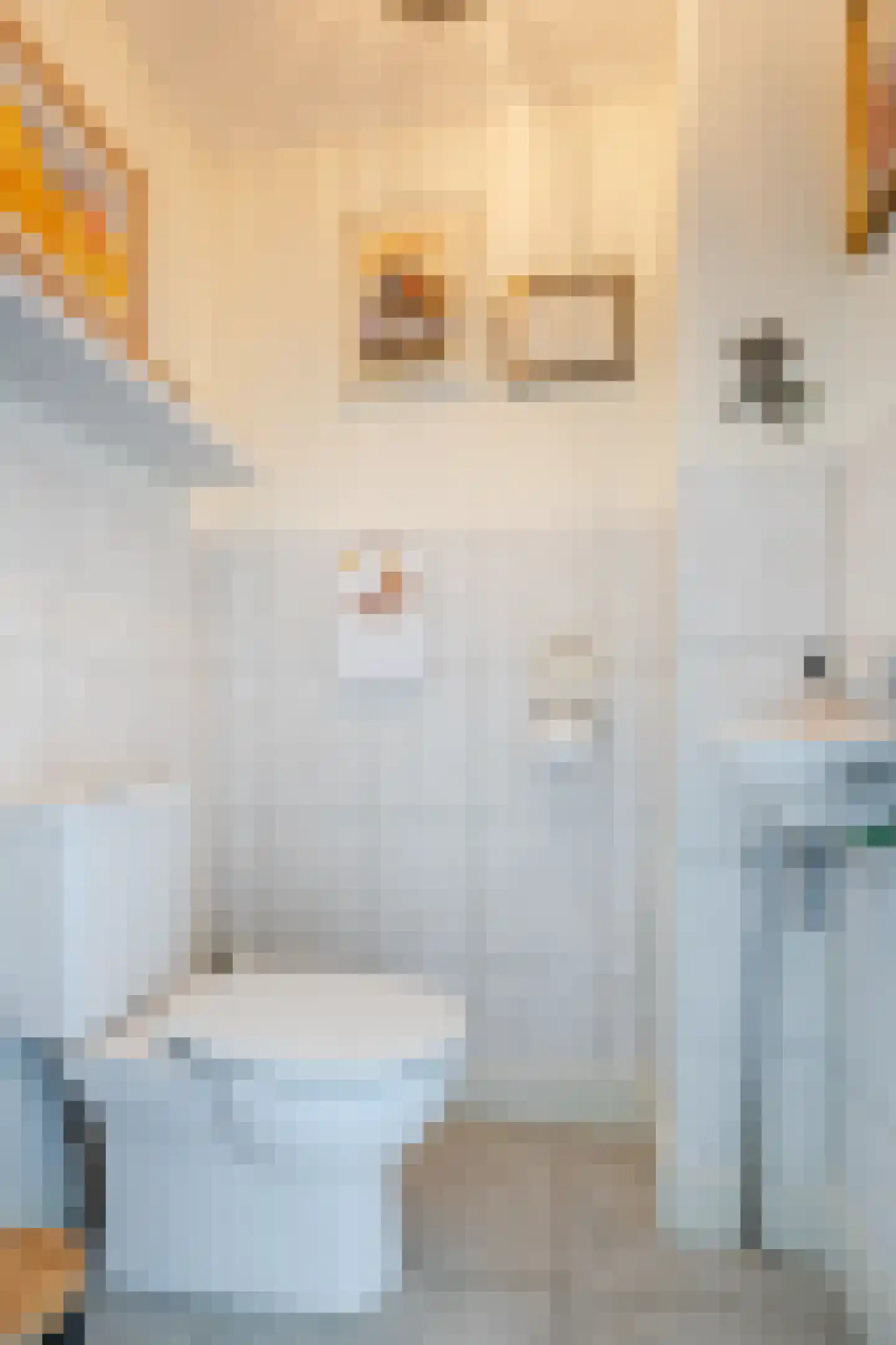 Tilweg 8 Roodeschool thumbnail 13