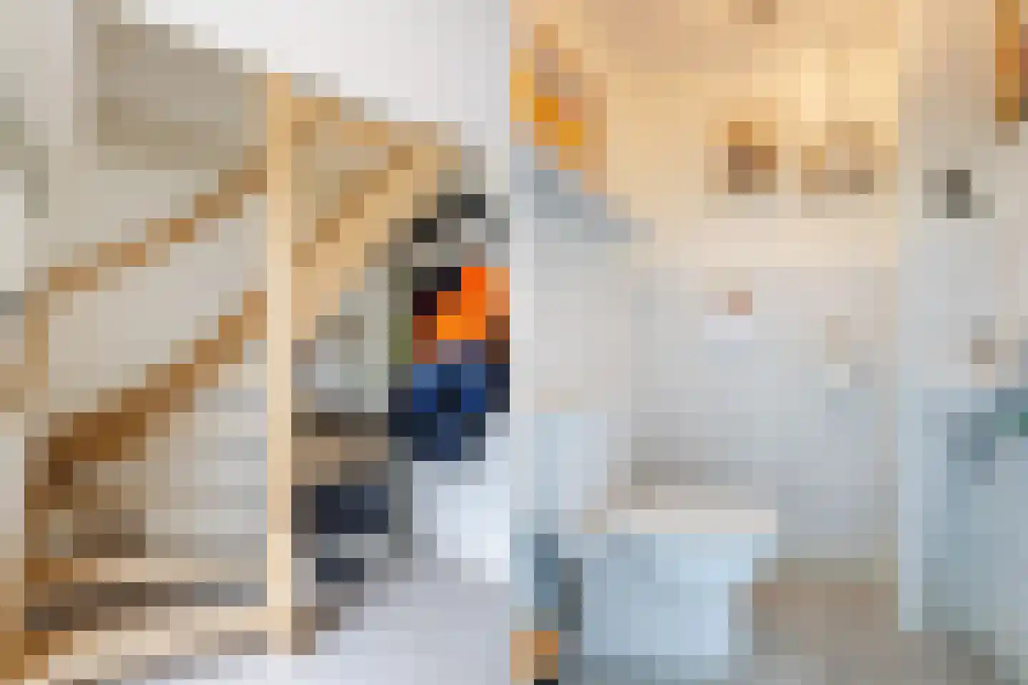 Tilweg 8 Roodeschool thumbnail 14