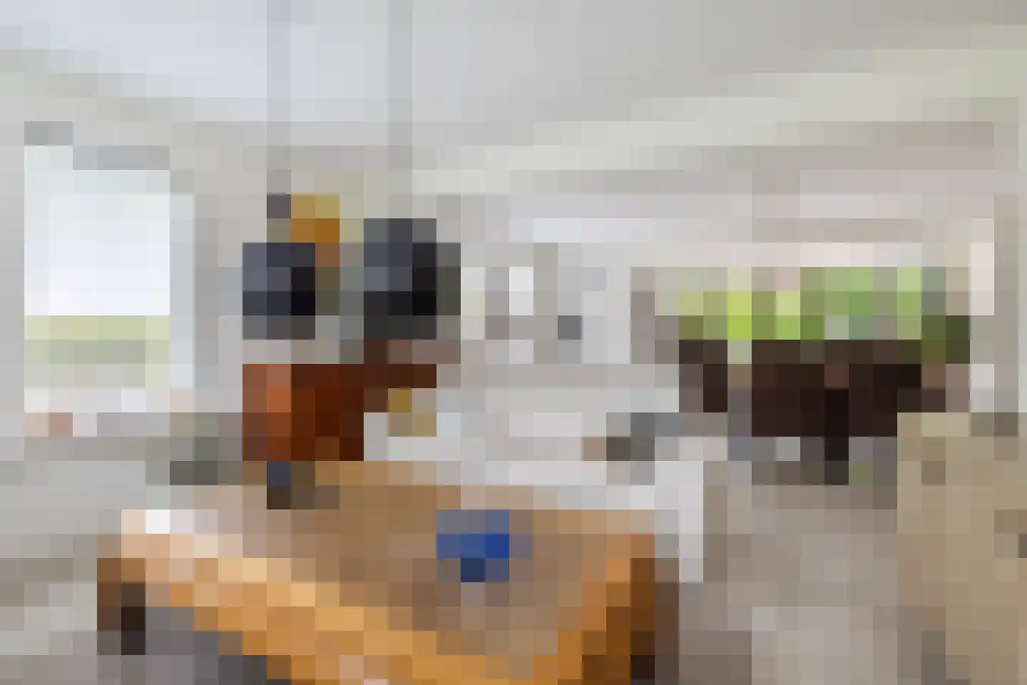 Tilweg 8 Roodeschool thumbnail 18