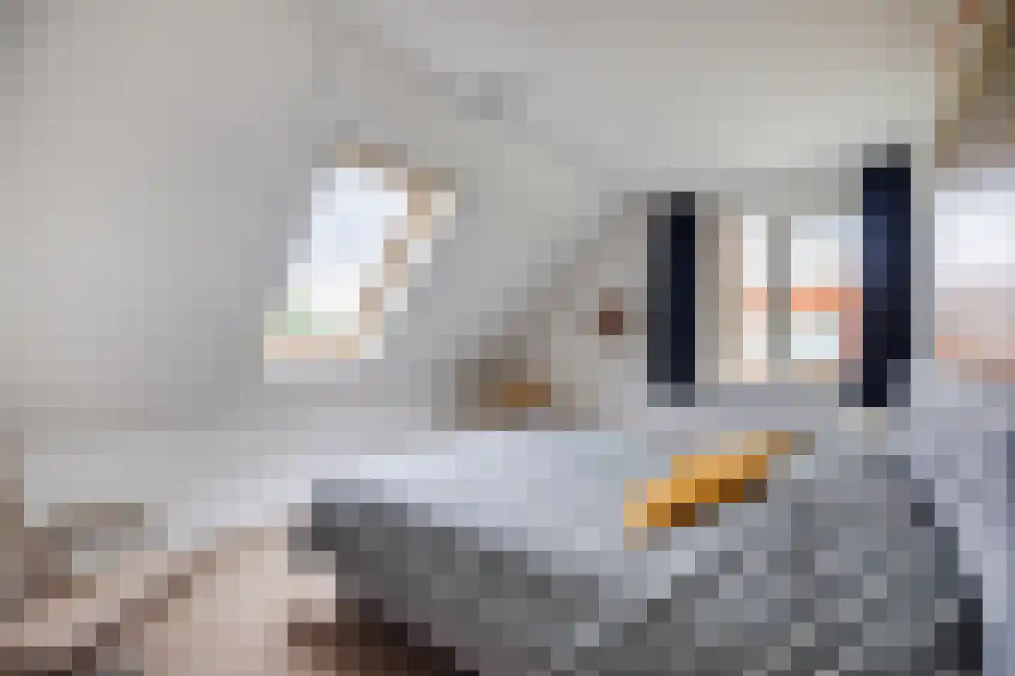 Tilweg 8 Roodeschool thumbnail 32