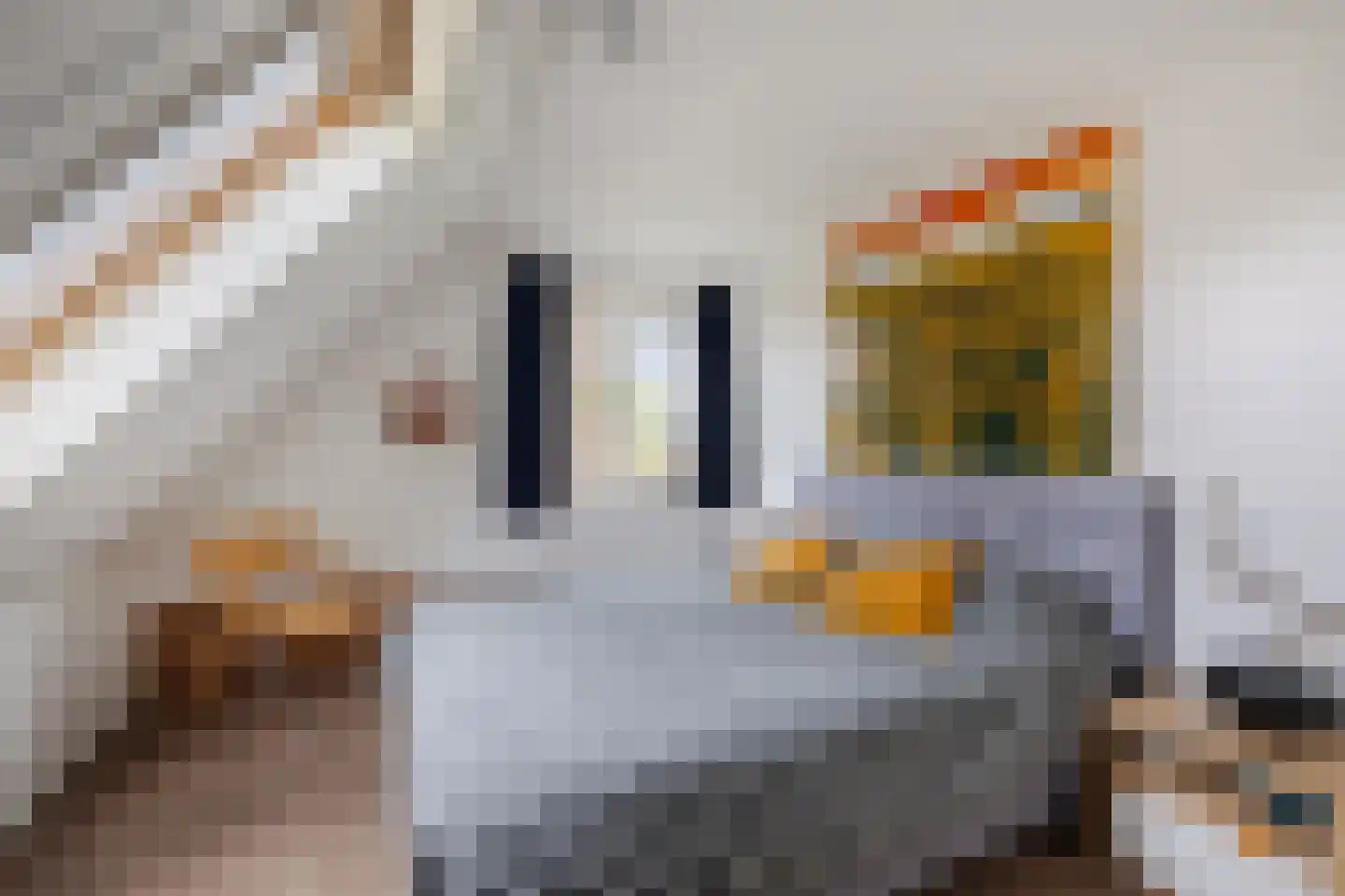 Tilweg 8 Roodeschool thumbnail 33