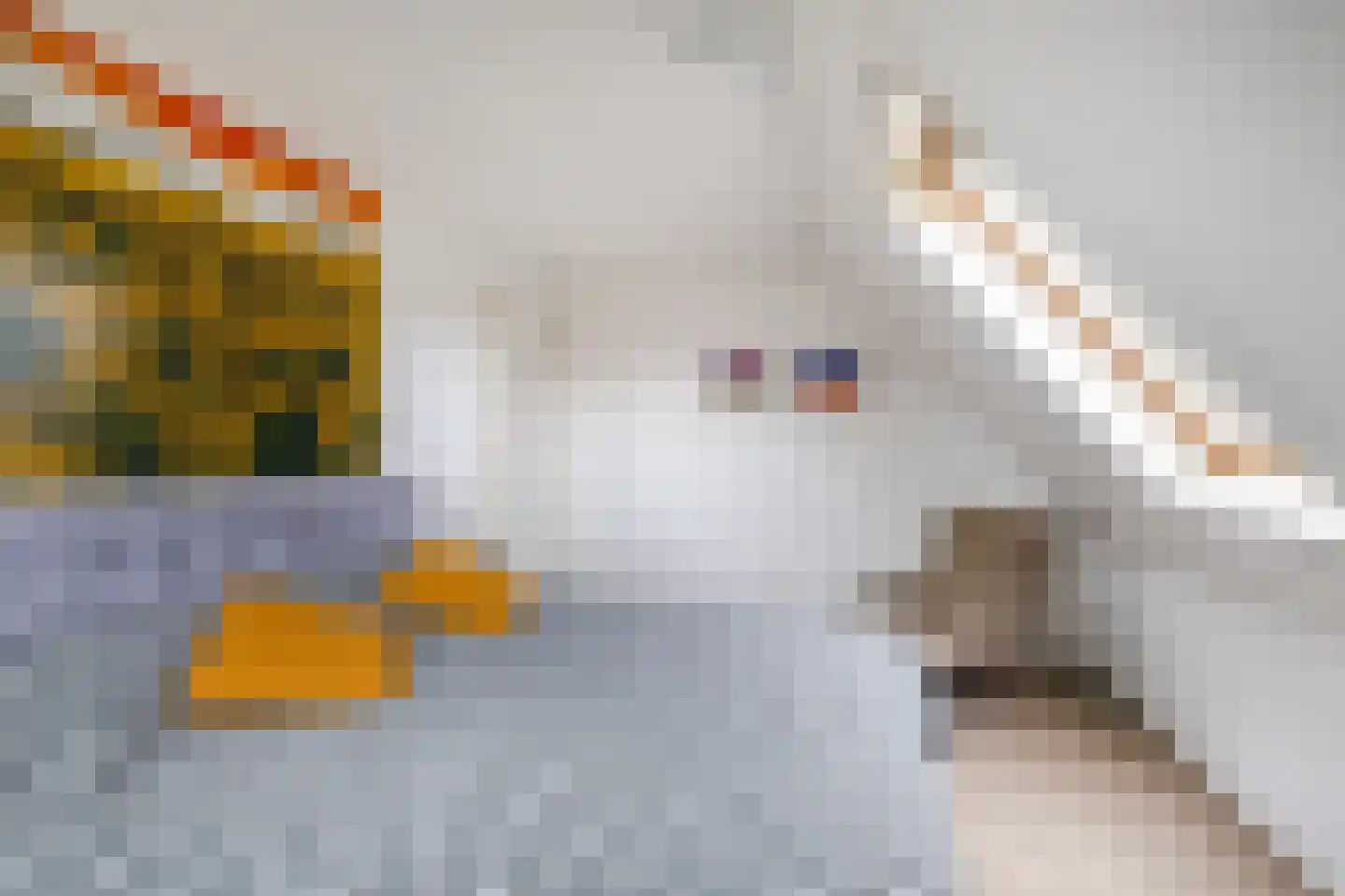 Tilweg 8 Roodeschool thumbnail 34