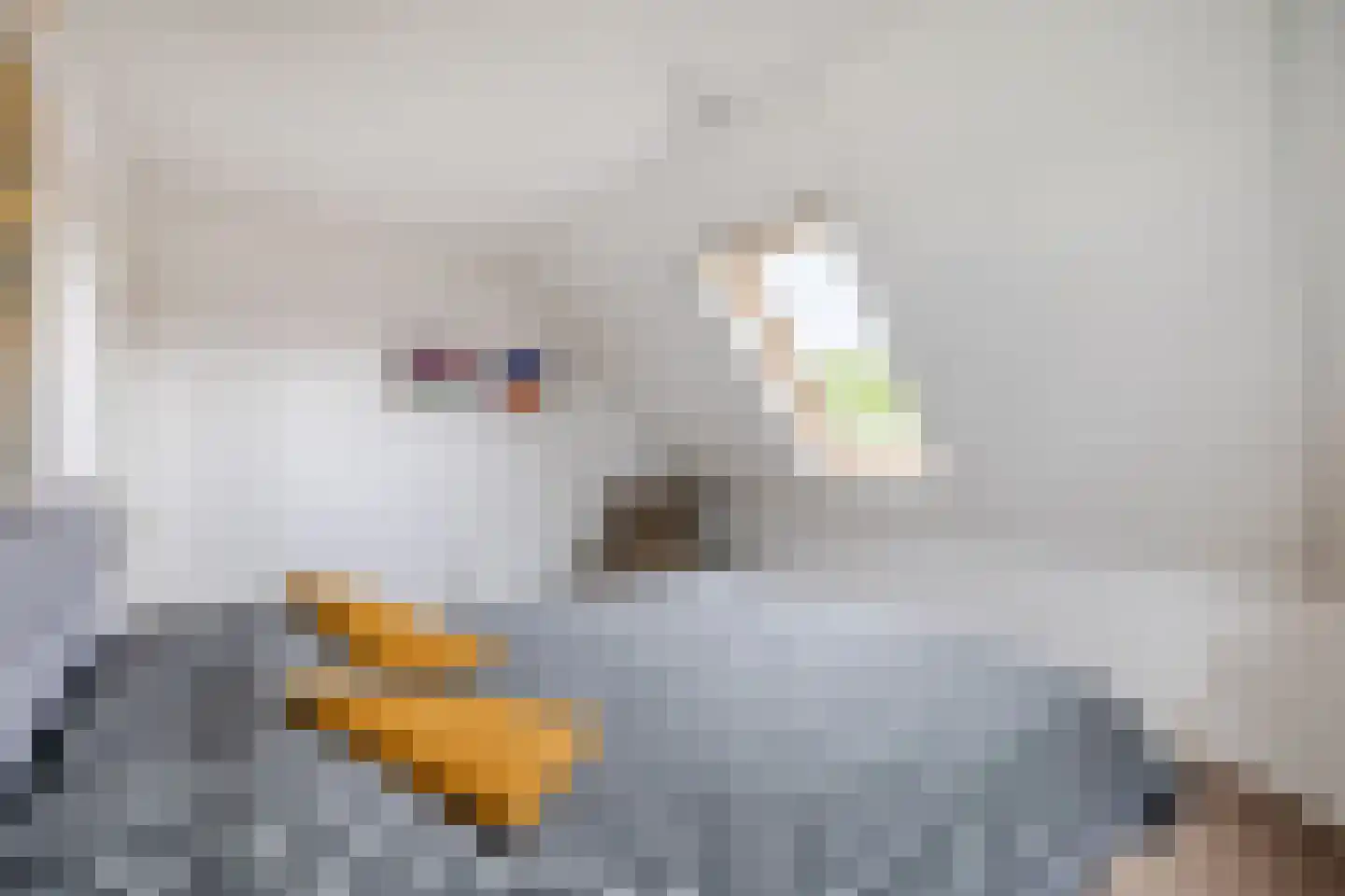 Tilweg 8 Roodeschool thumbnail 35