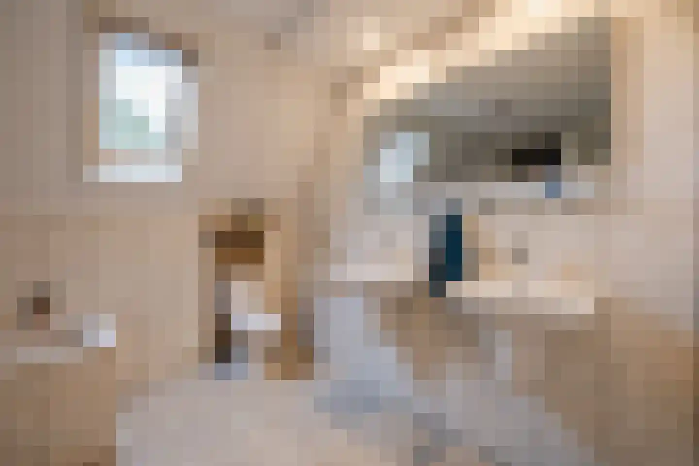 Tilweg 8 Roodeschool thumbnail 44