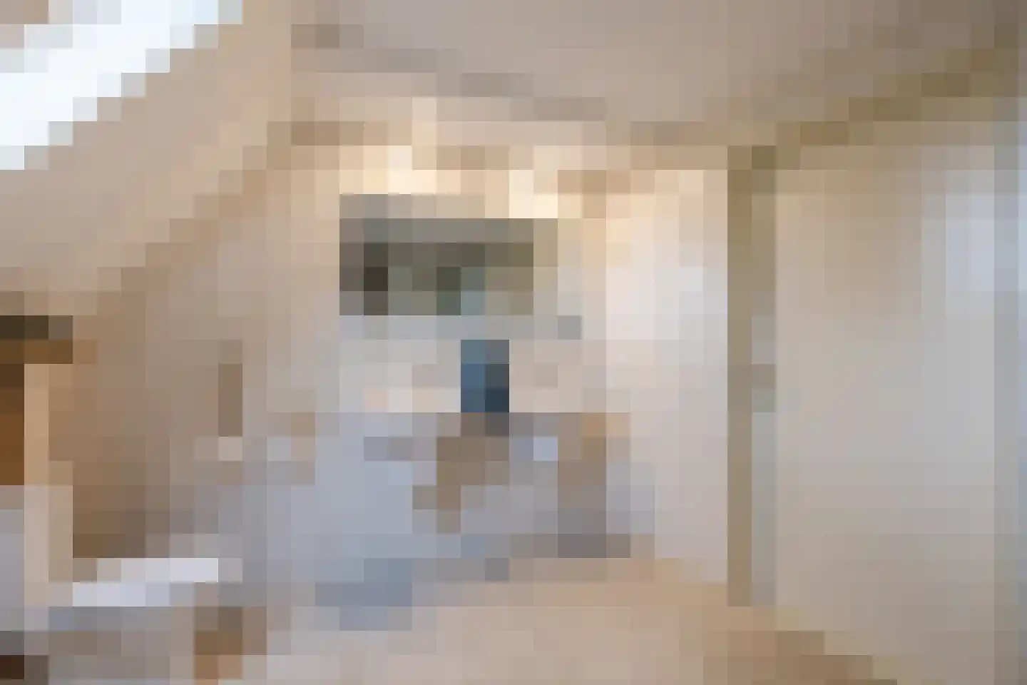 Tilweg 8 Roodeschool thumbnail 46