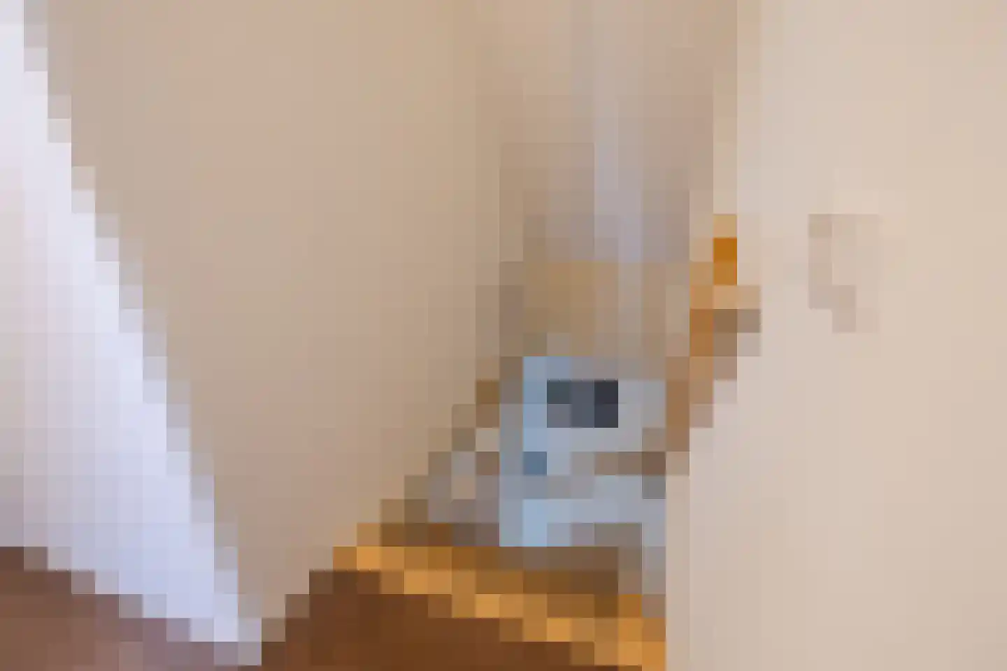 Tilweg 8 Roodeschool thumbnail 51
