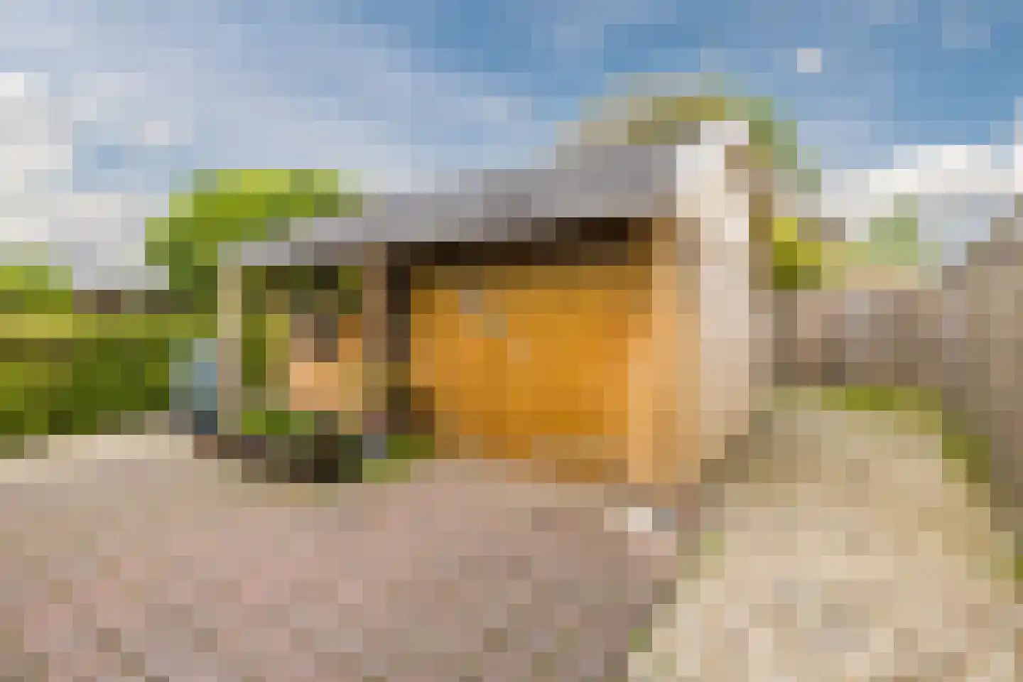 Tilweg 8 Roodeschool thumbnail 56