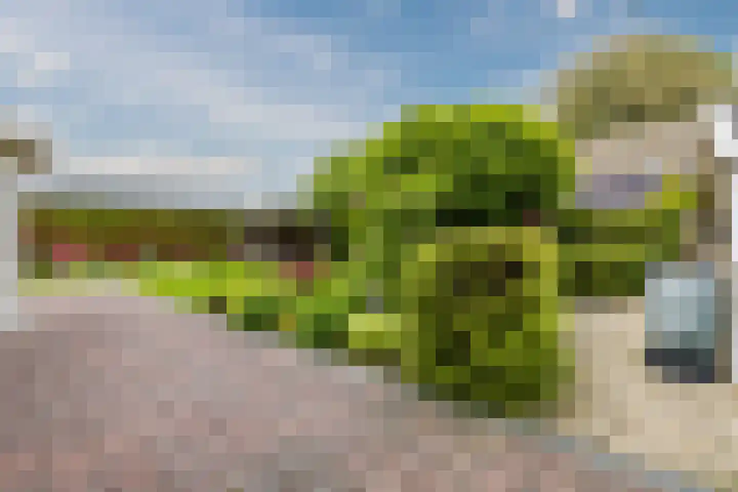 Tilweg 8 Roodeschool thumbnail 60