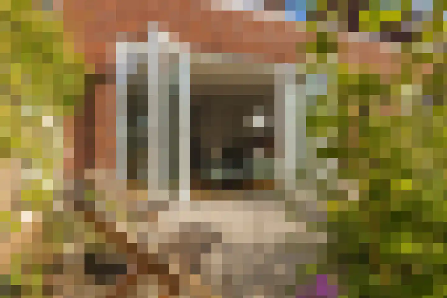 Timberwolfstraat 18 Achtmaal thumbnail 37